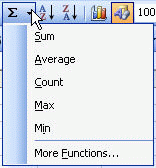 AutoSum function