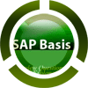 Sap Basis