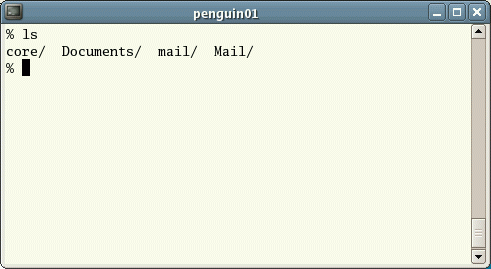 Unix Terminal - running the ls command