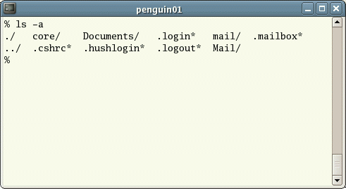 Unix Terminal - running the ls command
