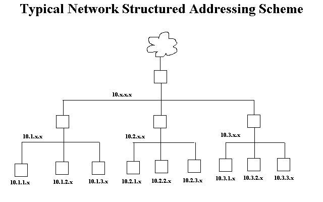 Typical Network Structure