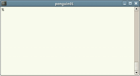 Unix Terminal window