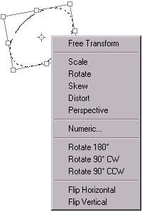 The transform context sensitive menu