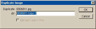 Duplicate Image dialog box